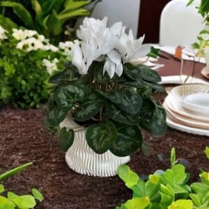 White Swan Pot Planter