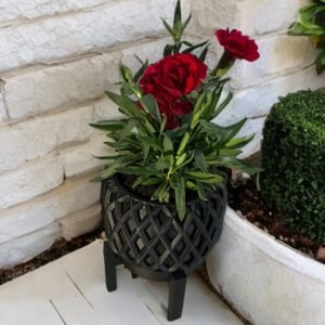 Kinao Pot Planter