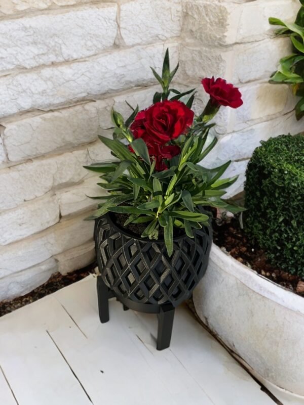 Kinao Pot Planter - Image 2